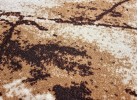 Мокетен килим ERIKA 8016 beige елипса